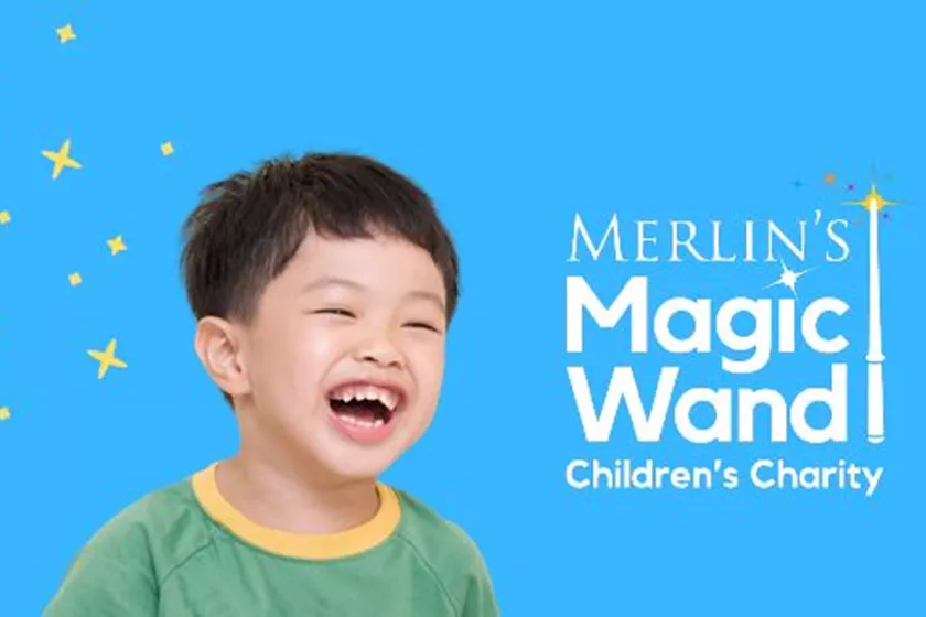 Merlin Magic Wand 1